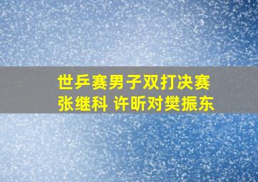 世乒赛男子双打决赛 张继科 许昕对樊振东